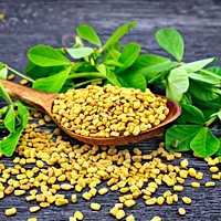 Nature's Answer Fenugreek Seed