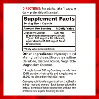 Cranberry Concentrate 500 mg Equivalent to 25,000 mg of Fresh Cranberries
