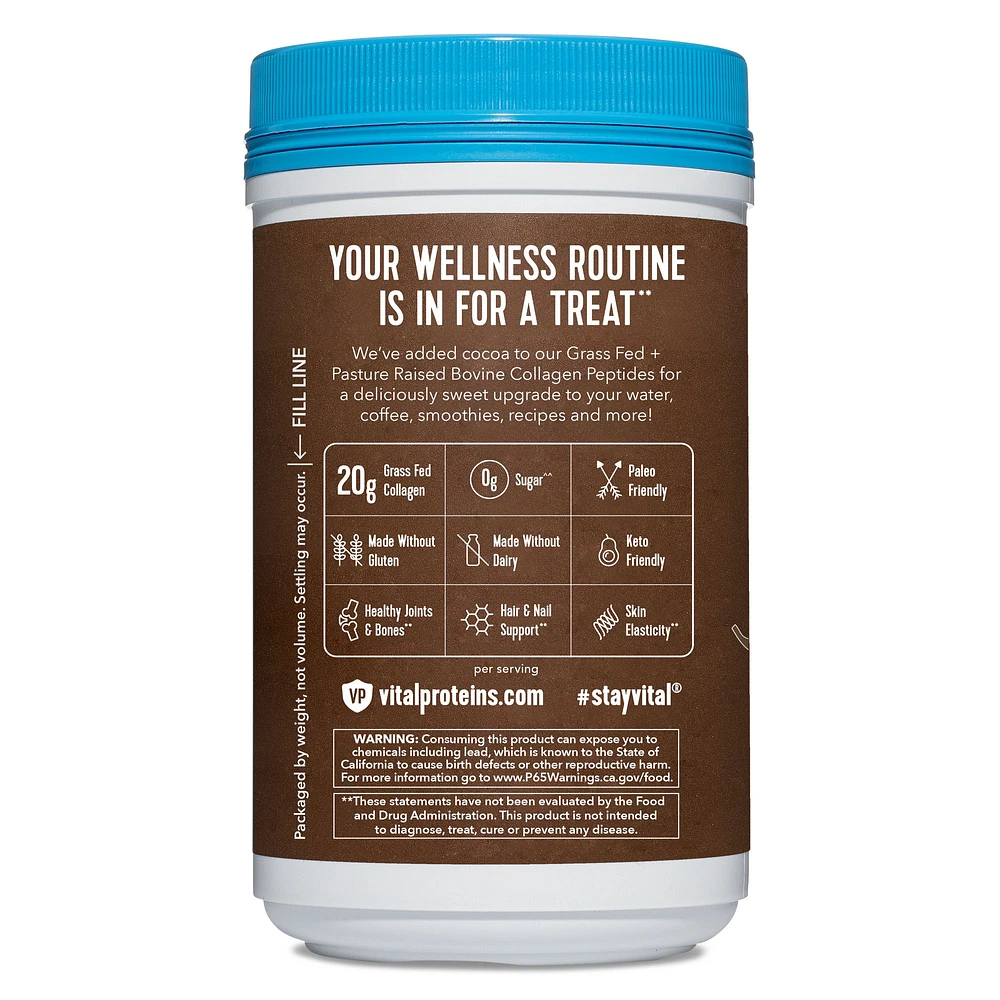 Vital Proteins Chocolate Collagen Peptides