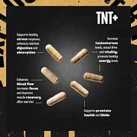 Universal Nutrition Animal TNT+ Wellness and Testosterone Booster for Men