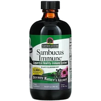 Sambucus Black Elderberry