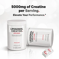 Creatine Monohydrate 455G