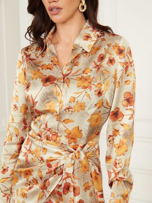 Autumn Dusk Dress