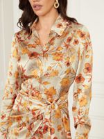 Autumn Dusk Dress