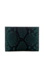 Stephi Small Fold Wallet