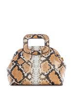 Errin Snakeskin Small Frame Satchel