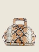 Errin Snakeskin Small Frame Satchel