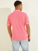 Washed Polo