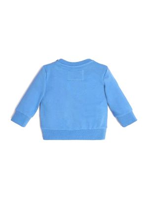 Eco Bear Sweatshirt (2-7)