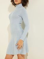 Eco Amelia Turtleneck Dress