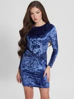 Sophie Velvet Dress