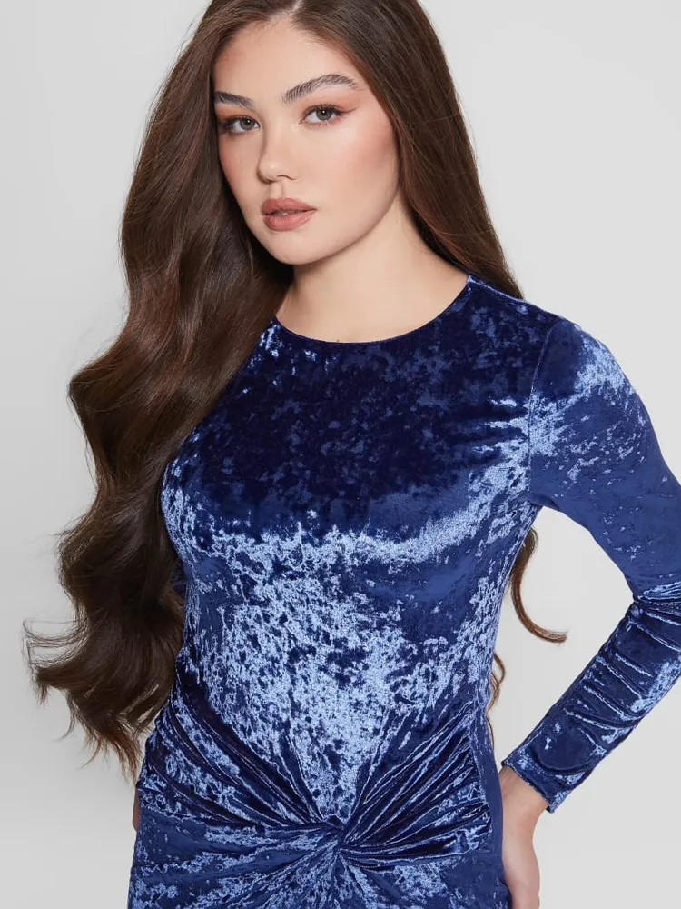 Sophie Velvet Dress