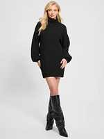 Eco Katie Turtleneck Sweater Dress