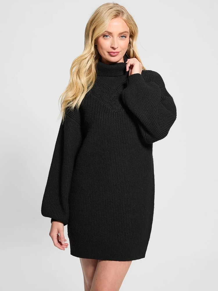 Eco Katie Turtleneck Sweater Dress