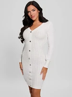 Josie Button Sweater Dress