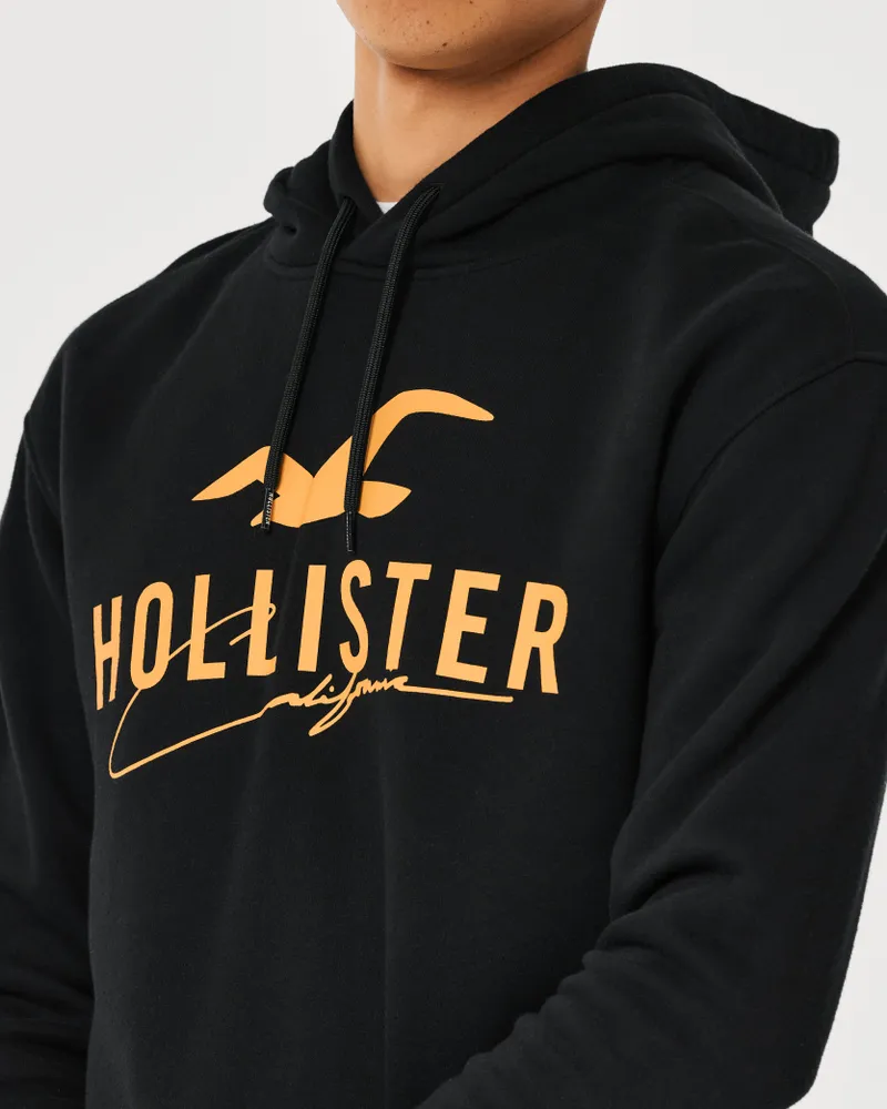 Hollister Ombre Print Logo Hoodie: Buy Online at Best Price in
