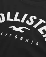 Hollister Long-Sleeve Logo Graphic Tee 3-Pack
