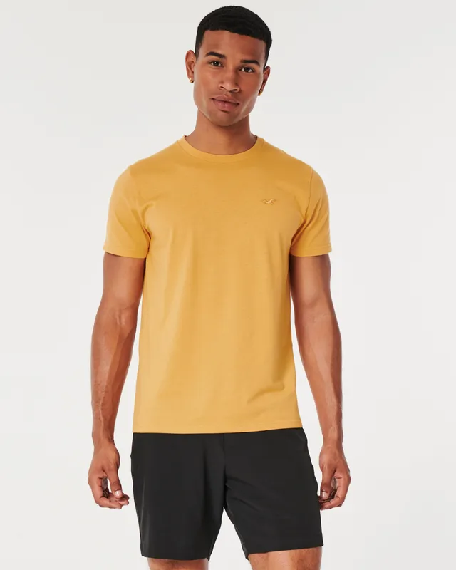 Hollister Co. Fitted T-Shirts