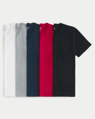 Icon V-Neck T-Shirt 5-Pack