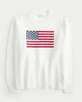 Hollister Comfy Cloud American Flag Graphic Crew Sweater