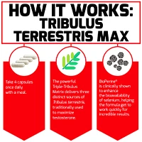 Tribulus Max Rapid Release Capsules