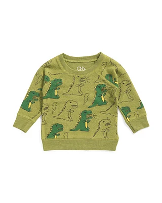 Dino Raglan Long Sleeve French Terry Sweatshirt For Boy