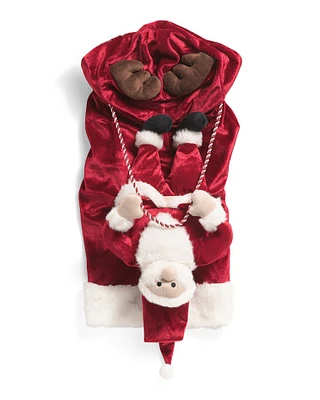 Riding Santa Pet Costume