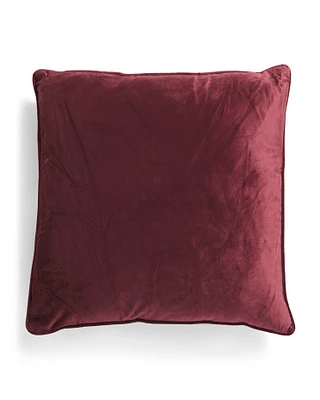 20X20 Velvet Pillow