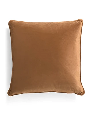 20X20 Velvet Pillow