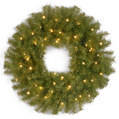 24" Norwood Fir Wreath With Warm White LED Lights