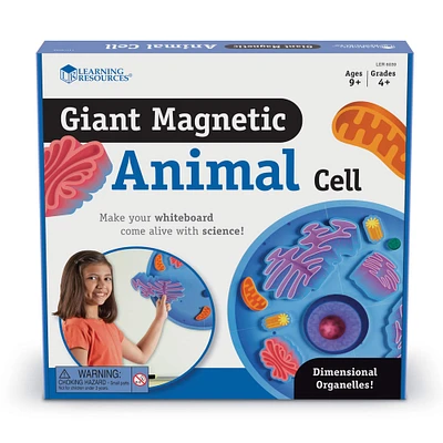 Learning Resources® Giant Magnetic Animal Cell