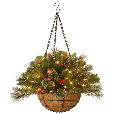 20" Pre-lit Crestwood Spruce Artificial Christmas Chain Hanging Basket with Silver Bristle, Cones, Red Berries, Glitter, Coconut Fiber in Basket with LED Lights