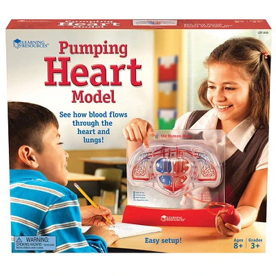 Learning Resources® Pumping Heart Model