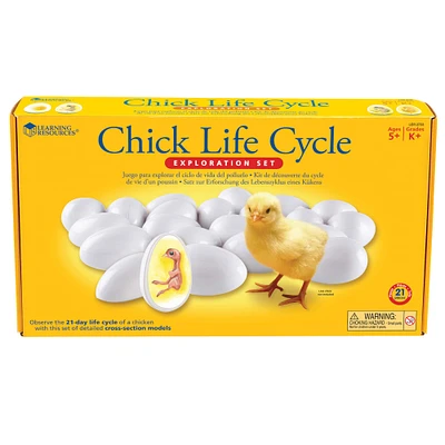 Learning Resources® Chick Life Cycle Exploration Set