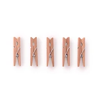 Creatology™ Mini Wood Clothespins