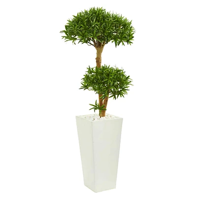 4ft. Green Bonsai Styled Plum Pine Tree in Tower Planter