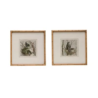 18" Birds & Nests Print Wooden Frame Set