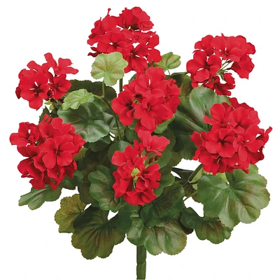 12 Pack: Red Water-Resistant Geranium Bush