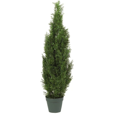 4ft. Potted Cedar Pine Tree