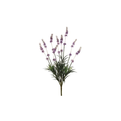 Lavender Bush