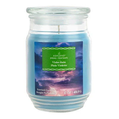 17oz. Violet Rain Jar Candle by Ashland®