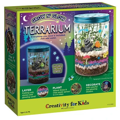 12 Pack: Creativity for Kids® Grow N' Glow Terrarium