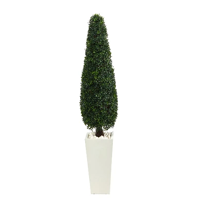 5.25ft. Boxwood Topiary in Tall White Planter