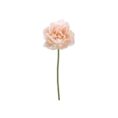 24 Pack: Soft Pink Peony Stem