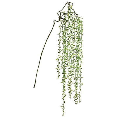 Soft Touch Green Senecio Hanging Spray 