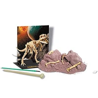 Toysmith® 4M Kidz Labs Dig A Dinosaur Tyrannosaurus Rex Skeleton