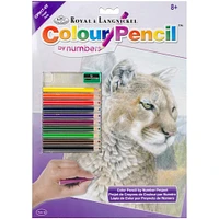 Royal & Langnickel® Cougar Colour Pencil™ by Number Kit