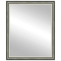 Timeless Frames® Cassia Champagne 24" x 30" Framed Mirror