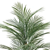 3.9ft. Potted Areca Palm Tree