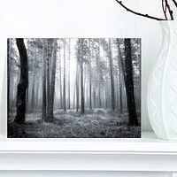 Designart - Black and White Foggy Forest